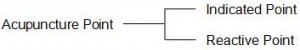 Acupuncture Point to Indicated Point and Reactive Point